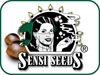 Cannabis-Seeds-White-75x100